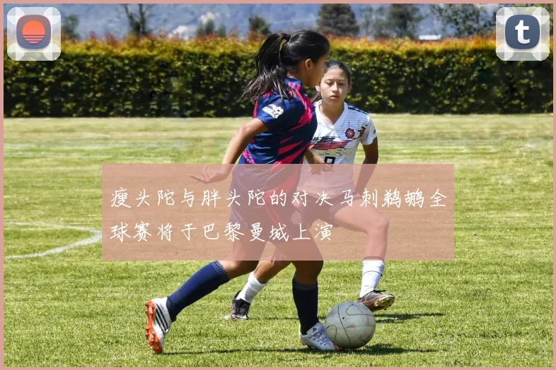 瘦头陀与胖头陀的对决马刺鹈鹕全球赛将于巴黎曼城上演