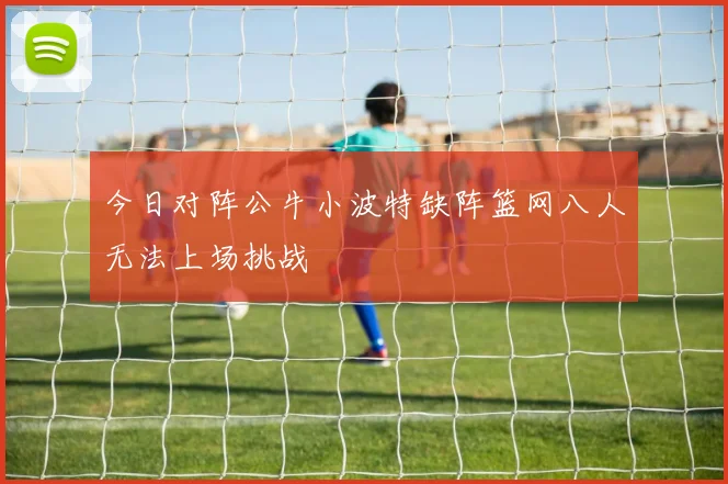 今日对阵公牛小波特缺阵篮网八人无法上场挑战